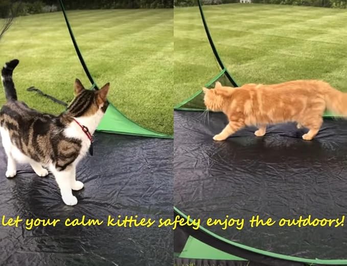 Instant Pop up Screen Tent for Camping, Noseeum Netting has Finer Mesh Than a Mosquito Net (Tarp Floor)