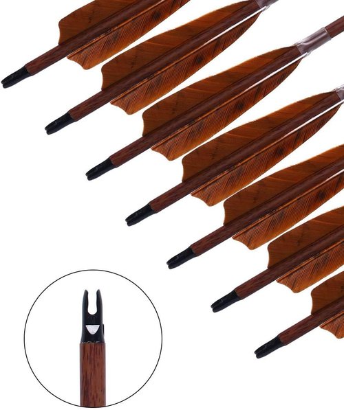 Archery 31-Inch Carbon Hunting Arrows, 4-Inch Turkey Feather Fletching with Replaceable Points, Targeting Practice Arrows Spine 500 for Recurve & Traditional Bows