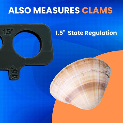 Crab Measurement Tool for Blue Crabs & Clams | NJ Regulation 3.5" Soft Shell, 4.5" Hard Shell | Floating Crab Gauge with Handle | 1.5" Clam Hole | Crabbing Gear & Supplies, Crab Fishing
