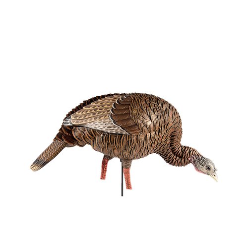 Avian-X HDR Jake Turkey Decoy with 2 Heads & HDR Feeding Hen Turkey Decoy Bundle