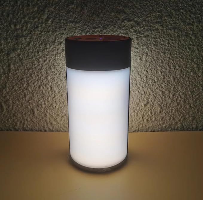 Survival Camping Lantern, Rechargeable LED Camping Lantern,62LEDs,3 Modes & SOS, Rechargeable for 4hrs, Small & Light, Emergency Light for Blackout, Hurricane Hiking Light (Black)