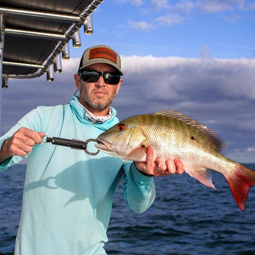 SeaQualizer Descending Device - Standard Release 50-100-150 NOAA Compliant and Most Reliable Fish Descending Tool Pressure Activated and Fail Safe