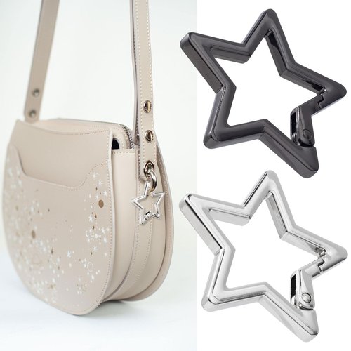Isslly 4 PCS Star Carabiner, Zinc Alloy Heavy Duty Star Shaped Keychain Clip with 2 Sizes and 2 Colors, Carabiner Clip for Camping, Hiking, Fishing - Silver, Black
