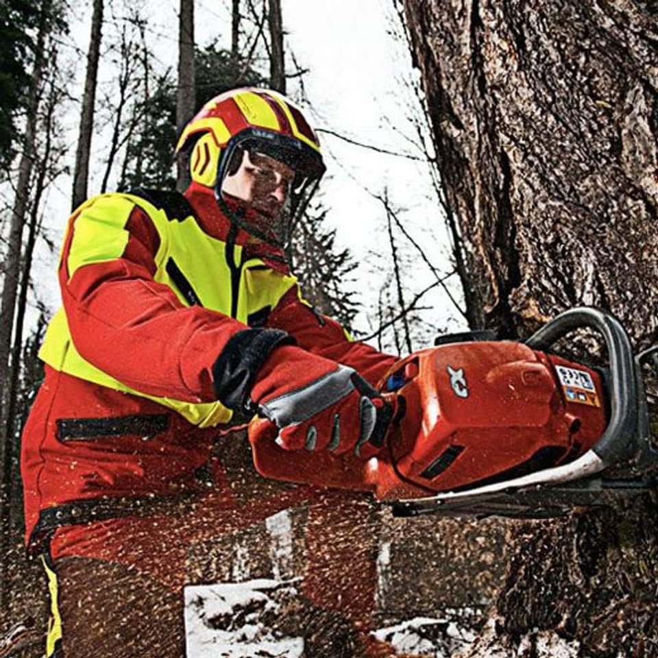Protos Integral Arborist Helmet - White & Black
