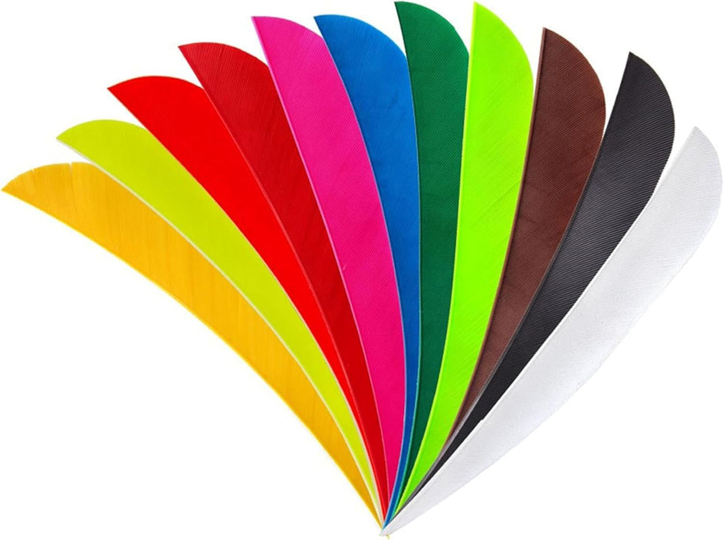 ZSHJGJR Archery Arrow Feathers 3 Inch 4Inch 5 Inch Turkey Feathers Fletchings Arrow Feathers Fletches Right Wing for DIY Hunting Arrows 50PCS