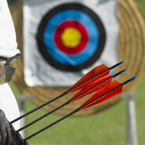 PATIKIL Arrows Vanes 50 Pack 4 Inch Arrow Turkey Feather Fletch Left Wing Fletching White for DIY Target Shooting
