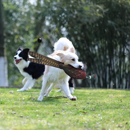 SYWAN Duck Pheasant Dove Dog Training, Dove Dummy for Dog Training Dummy Bumper Retriever Training Floating De-ad Bird Fowl Trainer Hunting Retriever Dog Training Accessories