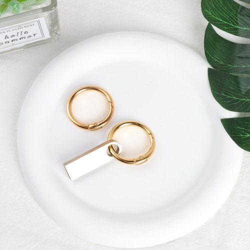 DAJISI 2 PCS Spring O Rings 1 inch, Circle Carabiner Snap Clip Trigger Spring Gold Keychain Clip Heavy Duty Metal O Ring Clips DIY Accessories for Keychains Bag Handbag