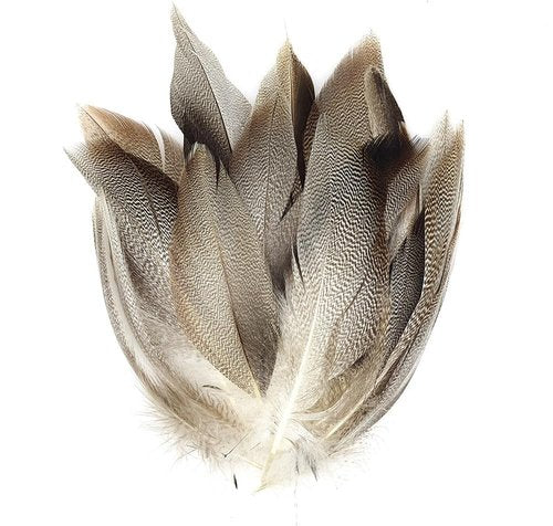 KTGCOZS Pack of 50 Flank Feathers Fly Tying Natural Barred Mallard Duck Flank Feathers Wild Goose Hair Wing
