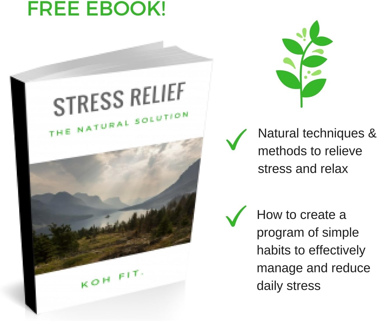 Stress Ball Multipacks - Stress Reliever Squeeze Balls - Bonus 18-Page Hand Exercise Therapy Ebook