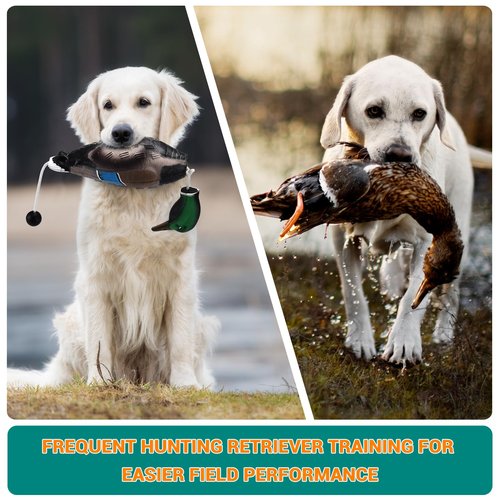 Scopaven Duck Training Dummy With Leash & Whistle - Durable Retriever Dummy for Waterfowl Retrieval, Hunting Toys and Bumpers for Dogs