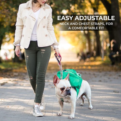 Tailtote Dog Hiking Backpack Harness Lightweight, Adjustable, and Water-Resistant Pet Poopbag Holder for Outdoor Adventures,Puppy Training or Everyday Walks (Small)
