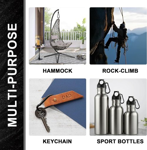Stainless Steel Carabiner, 8PCS Carabiners Clip, Keychains Key Clip,Outdoors and Gym Snap Hooks Heavy Duty, Carabiner Heavy Duty Hiking,Harness and Key Ring Small Carabiner Clip