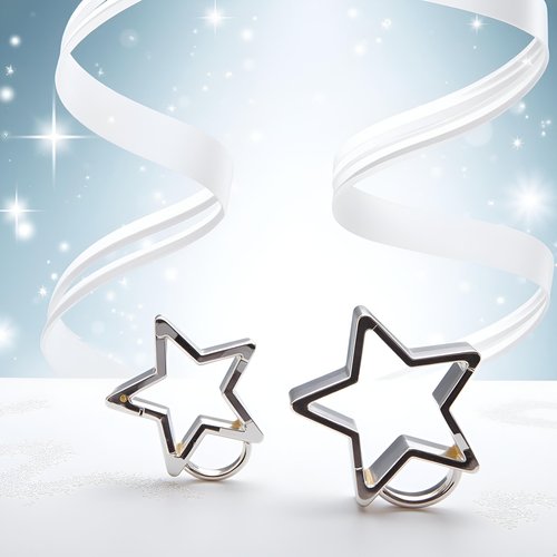 2Pcs Silver Star Shaped Stainless Steel Keychain Clip Carabiner Snap Hook Holder Star Hook Clip Key Holder Carabiner Clip for Keys Chain Accessories