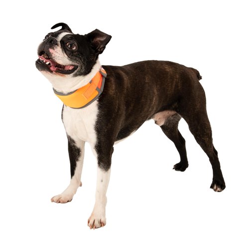 CoolerDog Hi-Vis Cooling Collar Refill Ice Strips