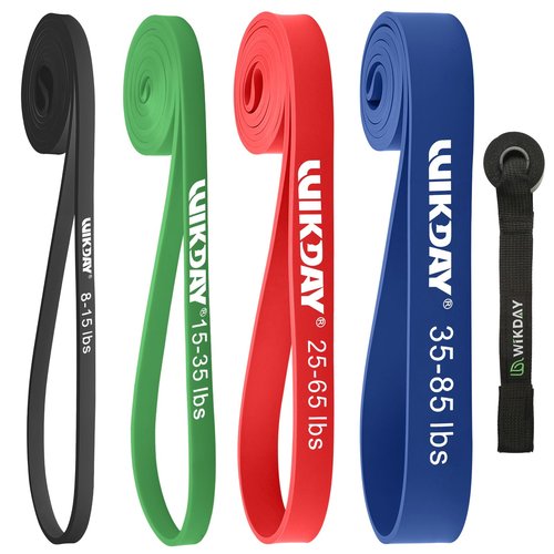 Pull Up Bands with Door Anchor, Resistance Bands with Handles 150/200/250/300 lbs