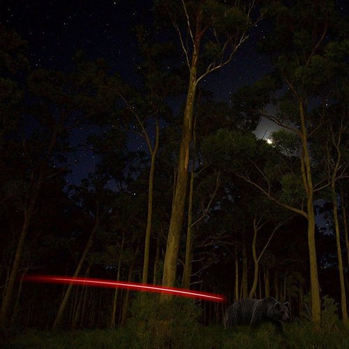 9PCS S Lighted Nocks for Arrows with .244 Inside Diameter Automatic Compound Bow Arrow Nocks for Hunting Shooting