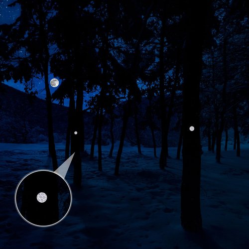 Fullhawl 100 Reflective Tacks Trail Marking Tacks Glow Reflective Mark Trail Markers Thumb Nails for Hunting Hiking Camping Tree Stand (Sliver)