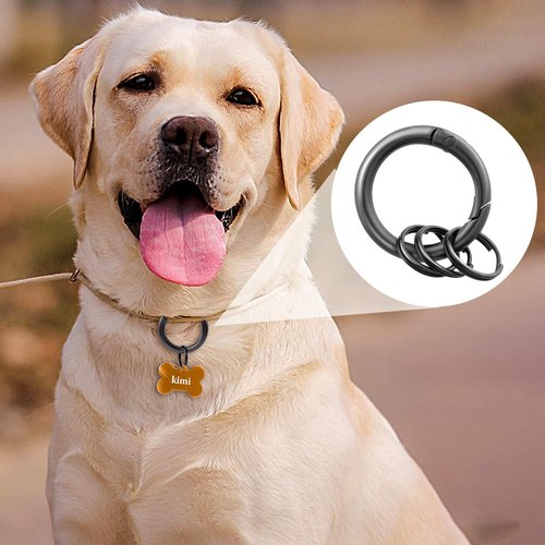 Mxxipp 2pcs Spring O Ring with Key Rings, Alloy Round Spring Keychain Clips, Small Circle Carabiner Snap Hook Replacement for Purse Bag DIY Crafts- Black & Gray