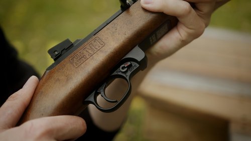 Crosman CFAM1 Full Auto CO2-Powered BB Air Rifle