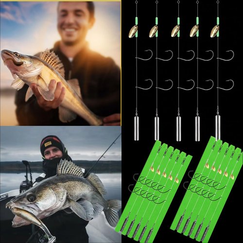 DAMIDEL 10Pcs Drop Shot Ready Rigs Kit with 2 Fishing Wacky Hooks,No Snag Skinny Sinker(1/2oz,3/8oz,1/4oz.1/5oz.), Spinner Blades， Fishing Bass Rig Cylinder Saltwater Freshwater 5g
