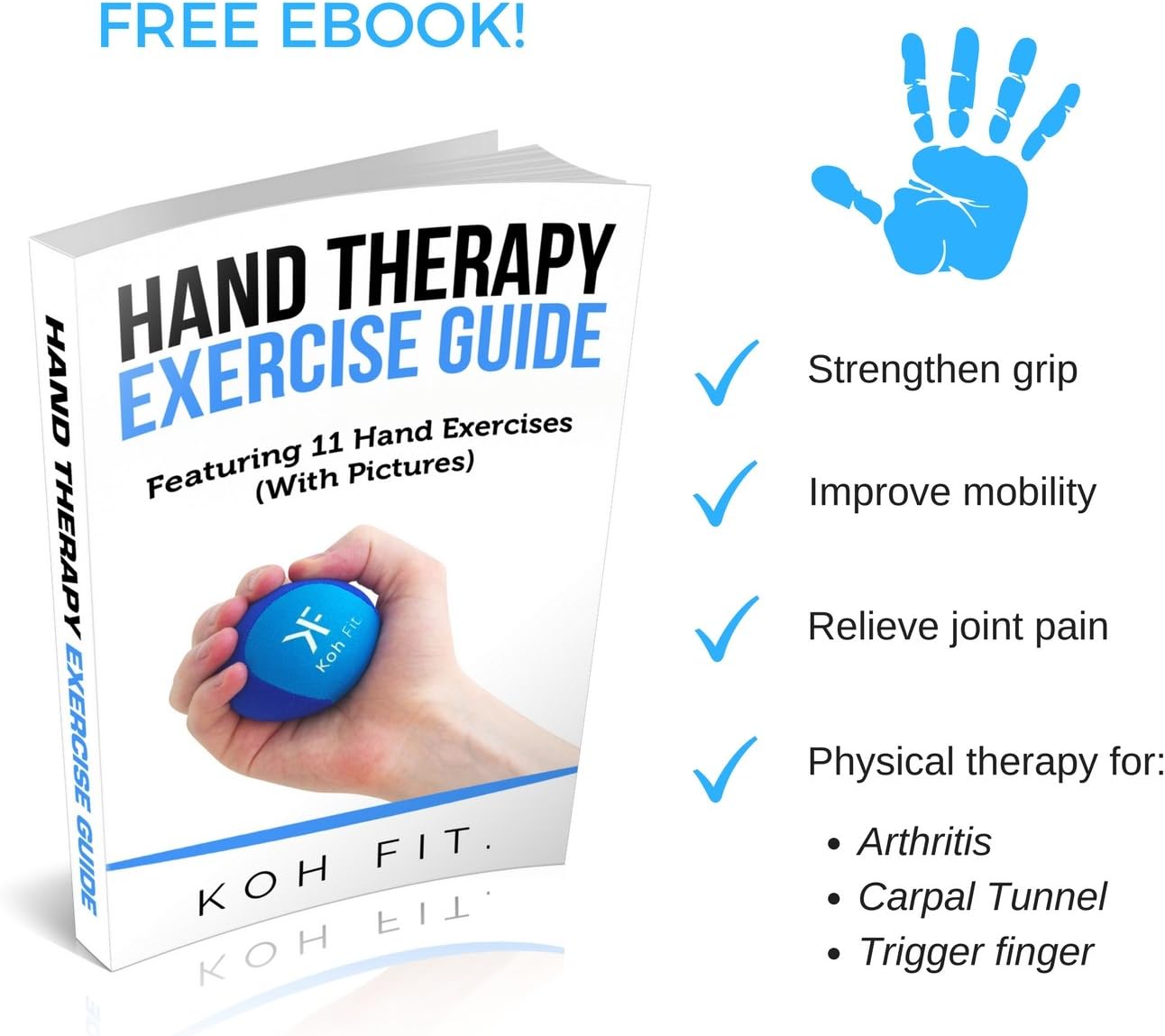 Stress Ball Multipacks - Stress Reliever Squeeze Balls - Bonus 18-Page Hand Exercise Therapy Ebook