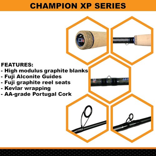 Dobyns Rods Champion Xp Dc746Cb