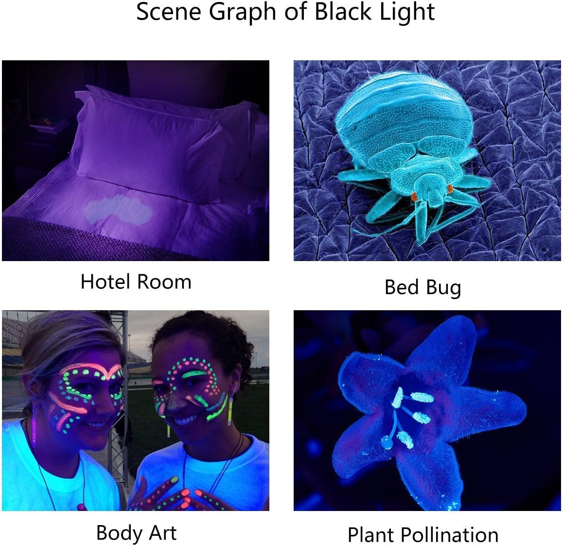 TATTU U3 UV Flashlight Rechargeable 395nm Black Light Torch Blacklight 10W Ultraviolet LED Lamp with Micro USB Charging Cable