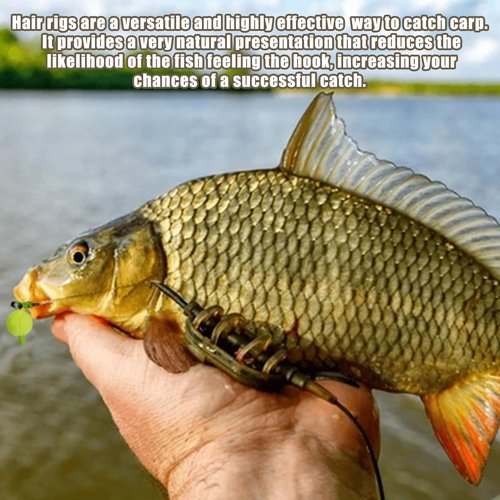 CWSDXM Hair Rigs Fishing Gear with Braided Thread Line, Carp Fishing Hooks Size 2/4/6/8, Swivel Snaps and Artificial Carp Boilie Eggs (Hair Rigs Fishing Size 6-10pcs)