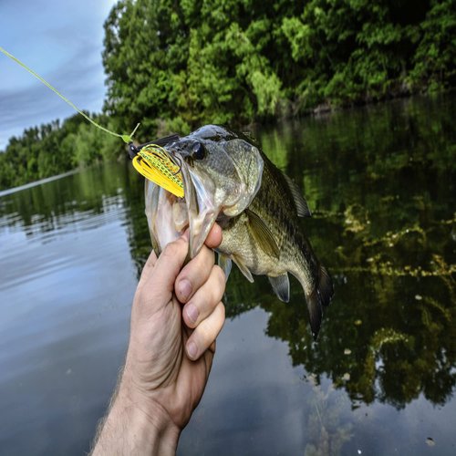 LURESMEOW Bass Jigs Fishing Jigs Swim Jigs for Bass Fishing Swim Jig Football Jigs Silicone Skirts Weedless Jig Head for Freshwater Saltwater,5pcs/Box