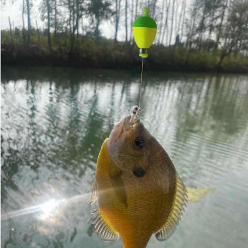 Bombite Fishing Bobbers Floats,10 Packs Weighted Bobbers for Fishing Foam Snap-on Fishing Floats Ball Oval Fishing Corks Bluegill Crappie Panfish Bass Trout Oval-Shape 1.25 in