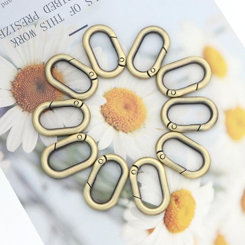 10Pcs Metal Spring Oval Rings Round Carabiner Key Ring Clip for Keychain Buckle, Purse Hardware, DIY Crafts (Brass,1 inch)