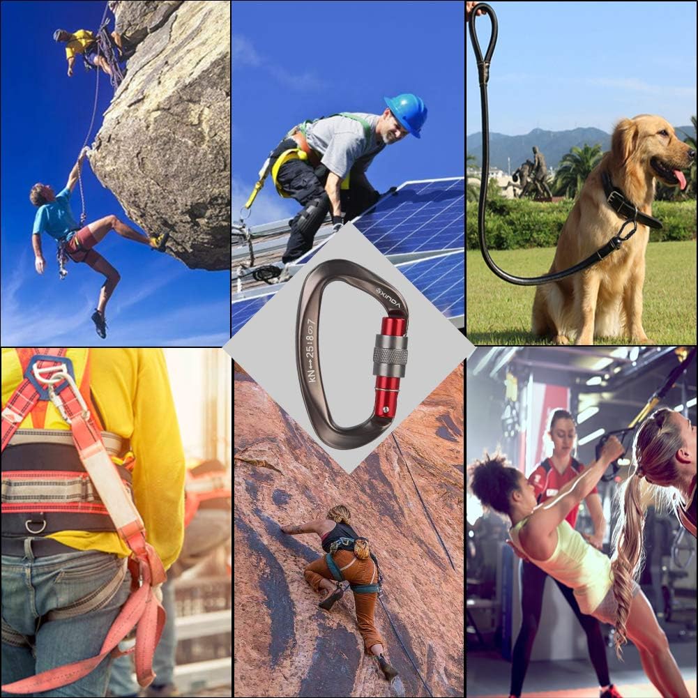 Screwgate Locking Carabiner Clip - Professional Rock Climbing Carabiner Screw Lock,Heavy Duty Carabiners for Climbing,Mountaineer,Hammock,Camping,Outdoor Equipment
