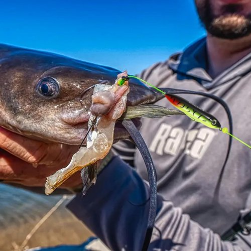 CWSDXM Catfish Float Rig Demon Dragon Style Rattling Line Float Propeller and Circle Hooks 6/0 8/0 for Santee Cooper Rig Catfishing Tackle (6/0 Hook Catfish Rig - 3 PCS)