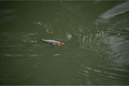 Berkley Bullet Pop Fishing Hard Bait
