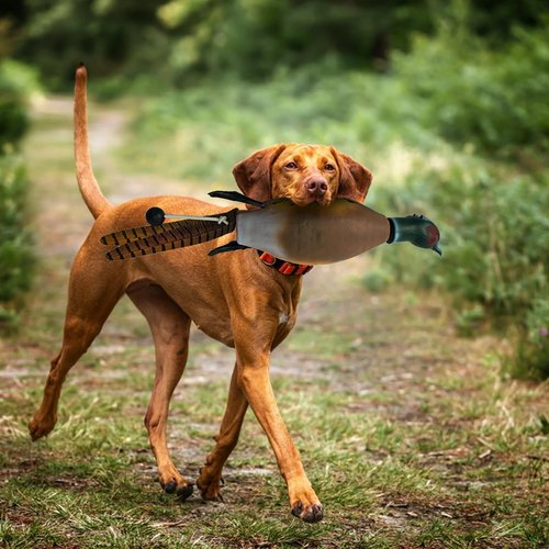 SYWAN Duck Dog Training, Pheasant Dog Training Dummies for Dog Training Hunting Dog Accessories Dogs Training Dummy Bumper Retriever Floating De-ad Bird Fowl Trainer Hunting Retriever (Pheasant)