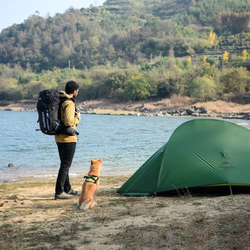 Naturehike Cloud Up Free Standing 2 Person Backpacking Tent Ultralight Nylon Double Layer Camping Tents for Two Person (20D Nylon Green, 2 Person)