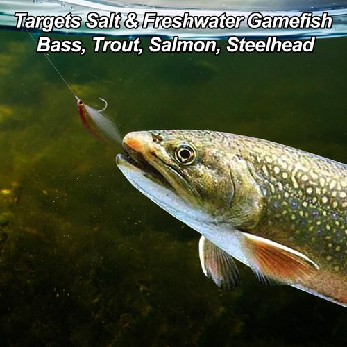 Dr.Fish 6 Pack Wounded Minnow Fly Fishing Flies Ice Dub Fry Slowly Sinking Baitfish Fly Fishing Lures for Trout Bass Steelhead Salmon Freshwater #8