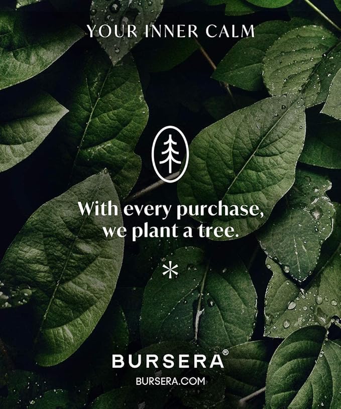 Bursera Terracotta Palo Santo Holder, Tree Planted with Every Order, Ceramic Palo Santo Burner Wood Stand, Incense Stick Burning Tray