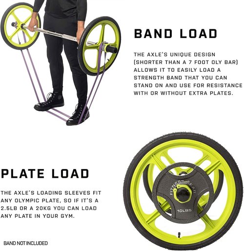 Home Gym Workout Barbells - Barbell Weight Set for Strength Training, Collapsible Equipment for Indoor & Outdoor Workouts for Men, Women, and Youth