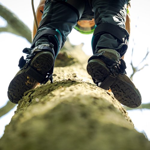 Notch Steel Climbers Ergonomic Pole Gaffs 20+ Cuff Adjustment Points, Stirrup Grip Pad, Dual Foot Strap Assembly, Redesigned Cuff, 350 lbs. Total Weight Limit (99695P)