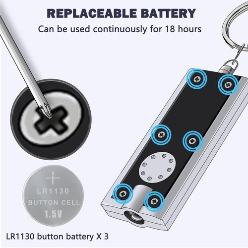 Daemson Mini LED Keychain Flashlight, Tiny Ultra Bright White Light Pocket Key Ring LED Flashlights for Camping, Hiking, Emergency - Batteries Included (8PCS-Multicolor)