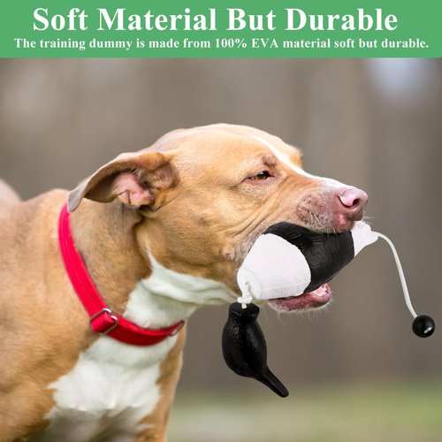 FIONUPI 3 Pcs Pheasant Toy for Dog Training Hunting Dogs Training Duck Bumper Tools Floating Dead Fowl Trainer Foam Interactive Toys for Pet Dog Training