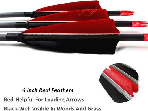 Archery Carbon Arrows 400 Spine with 4” Real Feather Fletching 100 Grain Points for Compound Recurve Longbow (12 Pack)