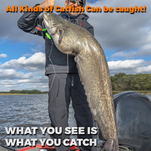 Catfish Rigs Catfish Float Rigs Catfishing Tackle Santee Rig 5/0 6/0 Circle Hooks for Peg Floats Catfish (Multiple Colors, 6/0 Hook * 6PCS)