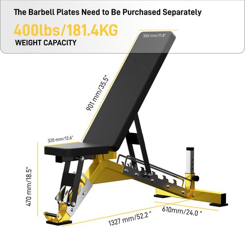Heavy Duty Weight Bench for Full Body Workout, Multi-Position Adjustable Bench for Home Gym (Black/Gold)