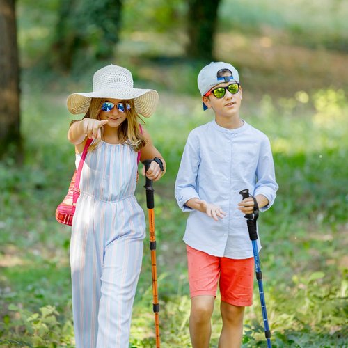 Ynaize Trekking Poles for Junior, 2 Pack Telescopic Hiking Poles Lightweight Collapsible & Shock-Absorbent Aluminum Walking Sticks with Quick Adjustable Locks for Youth & Women - Blue