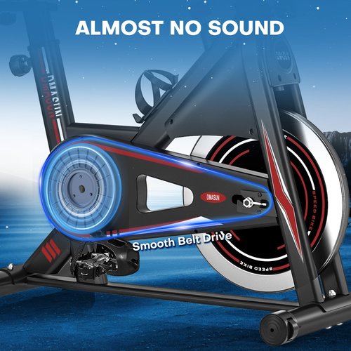 Exercise Bike, DMASUN Classic Brake Pad Pro Stationary Bike for Home with 330 LB Capacity, Workout Bike with Comfortable Seat Cushion, Digital Display with Tablet Holder