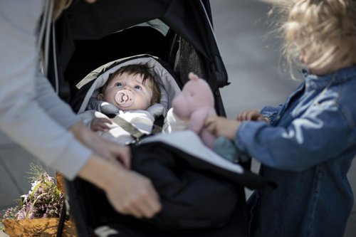 Thule Spring Stroller