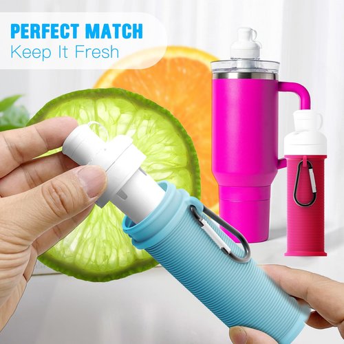 Flavors Cartridges Holder | Compatible with Popular Water Bottles | Single Design | For Flavor Replacement Storage (2-Pack(Blue+Magenta))